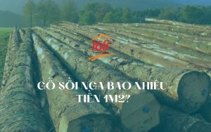 Gỗ sồi bao nhiêu tiền 1m2