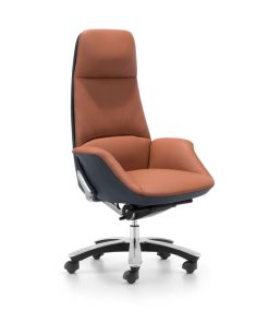 Ghế công thái học CM-K019AS