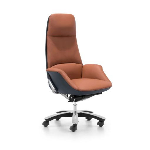 Ghế công thái học CM-K019AS