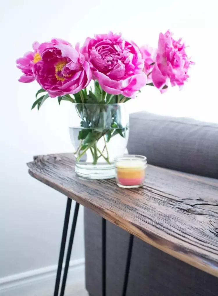Nội thất DIY