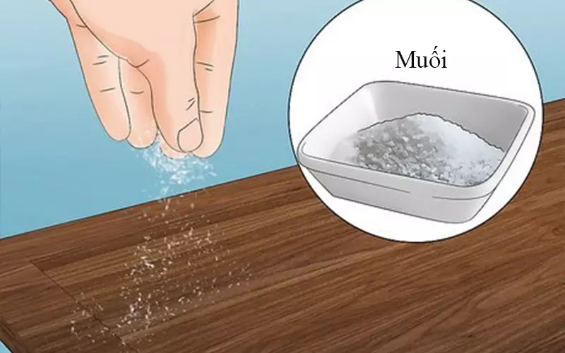 trị mối mọt