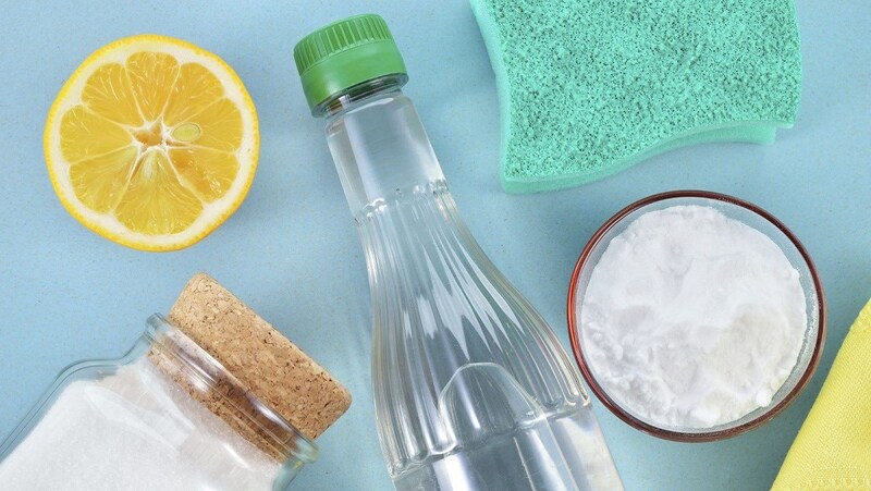 Cách trị mối mọt hiệu quả