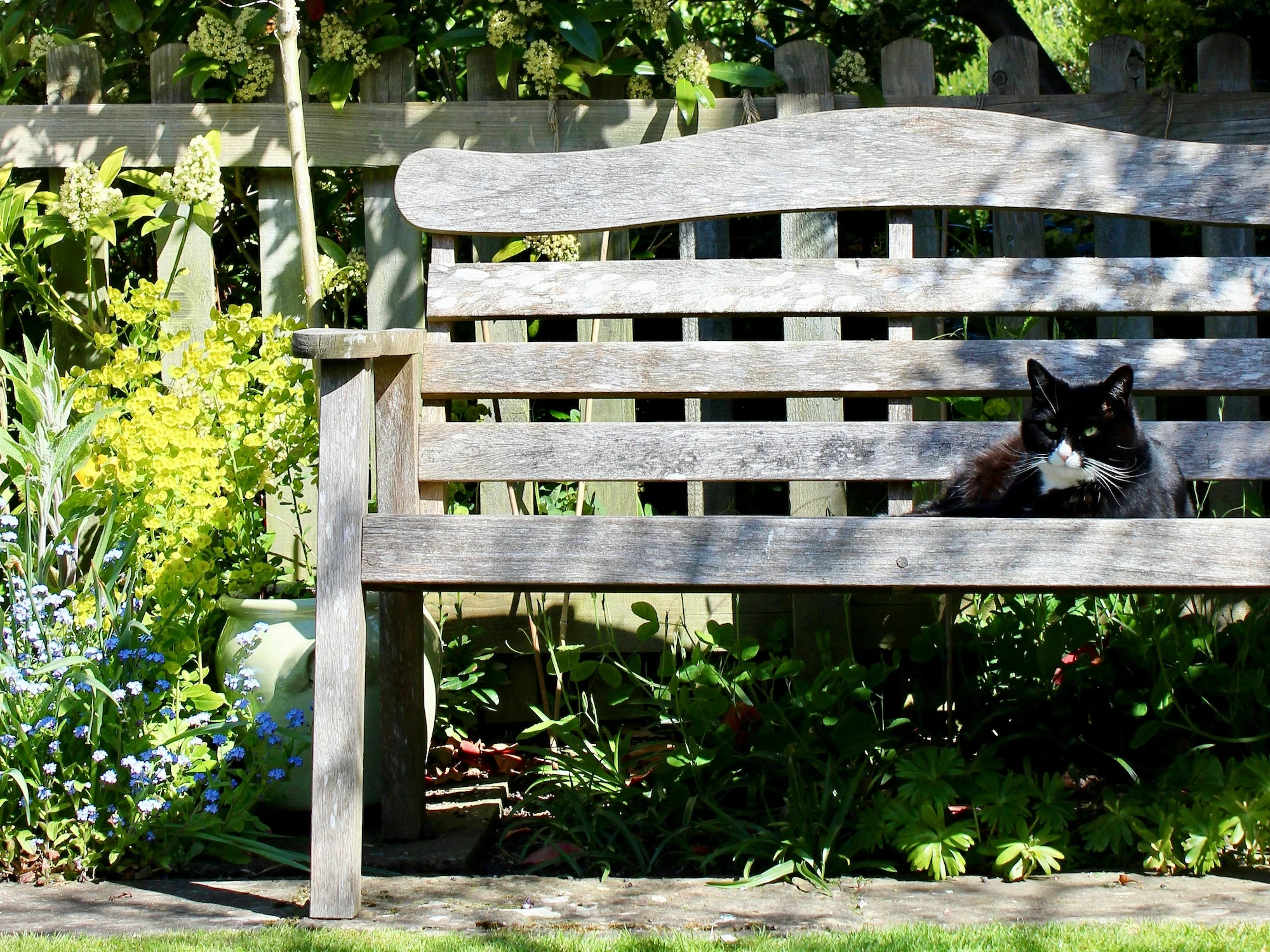 cách bảo vệ đồ gỗ trước ánh nắng