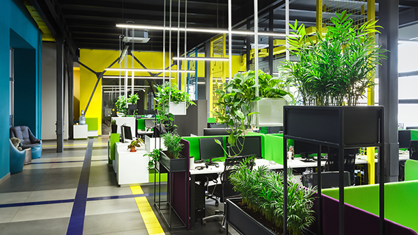 green office interior, biophilic office design, office with plants workspace